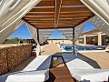 Villa Pinoso de 3 chambres et 2 salles de bains in Daft on Spain 