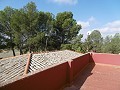 Villa mit Gästehaus und Pool in Daft on Spain 
