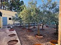 Landhaus mit Renovierungspotenzial und endlosen Möglichkeiten in Yecla in Daft on Spain 