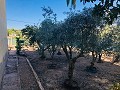 Landhaus mit Renovierungspotenzial und endlosen Möglichkeiten in Yecla in Daft on Spain 