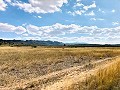 Wunderschön erhaltenes Landhaus in atemberaubender Yecla-Lage in Daft on Spain 