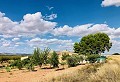 Wunderschön erhaltenes Landhaus in atemberaubender Yecla-Lage in Daft on Spain 