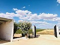 Wunderschön erhaltenes Landhaus in atemberaubender Yecla-Lage in Daft on Spain 