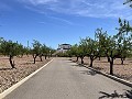 Stunning Detached Villa with Pool in Pinoso in Daft on Spain 