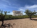 Stunning Detached Villa with Pool in Pinoso in Daft on Spain 