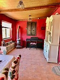 Lovely country home with full sized padel court  in Daft on Spain 
