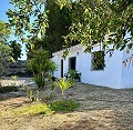 Lovely country home with full sized padel court  in Daft on Spain 