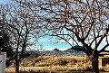 Lovely country home with full sized padel court  in Daft on Spain 