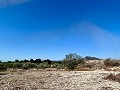 Lovely country home with full sized padel court  in Daft on Spain 