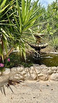 Lovely country home with full sized padel court  in Daft on Spain 