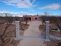 New build villas in Pinoso in Daft on Spain 