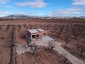 New build villas in Pinoso in Daft on Spain 