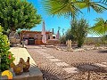 6 Bedroom 5 Bathroom Finca Catral in Daft on Spain 