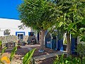 6 Bedroom 5 Bathroom Finca Catral in Daft on Spain 