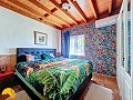 6 Bedroom 5 Bathroom Finca Catral in Daft on Spain 