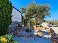 6 Bedroom 5 Bathroom Finca Catral in Daft on Spain 