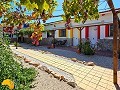 6 Bedroom 5 Bathroom Finca Catral in Daft on Spain 