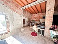 Huge house in the countryside with plots in Pinoso in Daft on Spain 