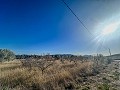 Huge house in the countryside with plots in Pinoso in Daft on Spain 