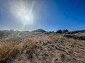 Huge house in the countryside with plots in Pinoso in Daft on Spain 