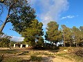 Large Country House in Daft on Spain 