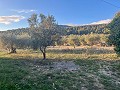 Large Country House in Daft on Spain 