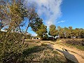 Large Country House in Daft on Spain 