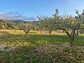 Large Country House in Daft on Spain 