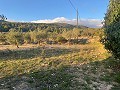 Large Country House in Daft on Spain 
