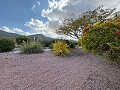 5 Bed  Villa with Guest House in Daft on Spain 