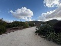5 Bed  Villa with Guest House in Daft on Spain 