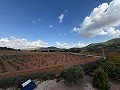 5 Bed  Villa with Guest House in Daft on Spain 