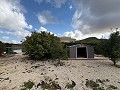 5 Bed  Villa with Guest House in Daft on Spain 