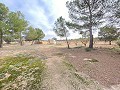 Riesiges Landhaus zum Renovieren in Daft on Spain 