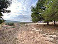 Riesiges Landhaus zum Renovieren in Daft on Spain 