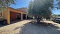 Schöne traditionelle Villa mit 6 Schlafzimmern in Albatera in Daft on Spain 